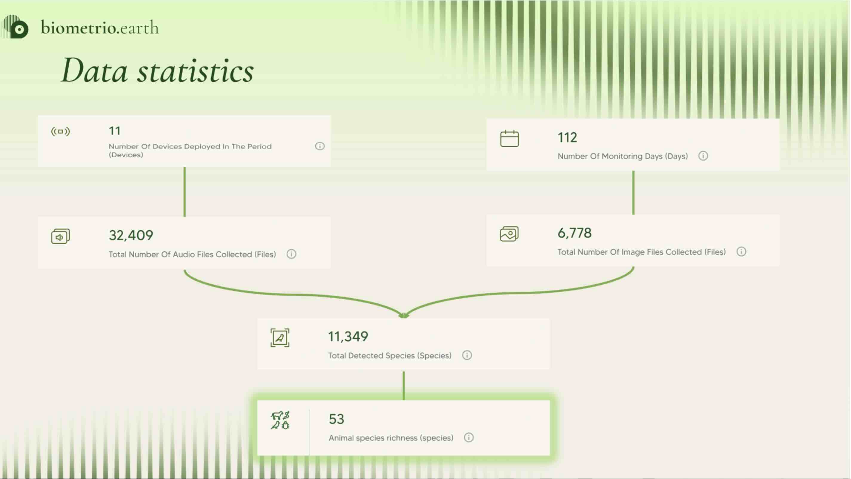 example statistics